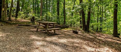 A forested area with a wooden picnic table surrounded by trees.