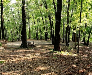 A forested campground with picnic tables and a covered area. - Rustic Camper Retreat with Fire Pit & Rocking Chairs in Branson, Missouri (Branson)