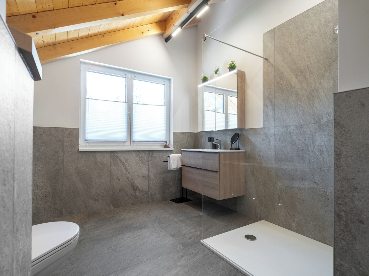 A modern bathroom with a shower, toilet, and vanity.
