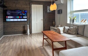 Smart TV, fireplace - 3 bedroom pet friendly home in Roslev (Roslev)