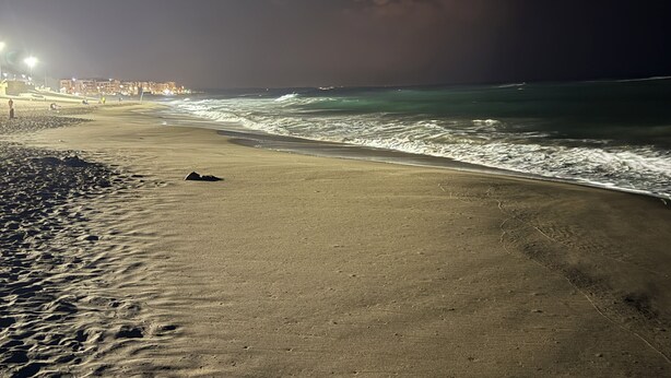 Ein Strand bei Nacht mit Wellen, einem sandigen Ufer und weiter Stadtbeleuchtung.