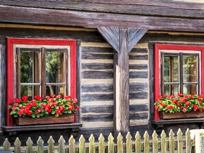 Eine rustikale Holzhütte mit zwei Fenstern, jedes mit rotem Rahmen und einem Blumenkasten mit roten Blumen.