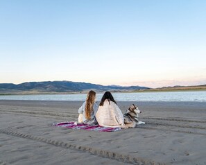 Deux personnes sont assises sur une couverture sur une plage, avec un chien, et font face à une étendue d'eau. Des montagnes se dressent à l'arrière-plan.