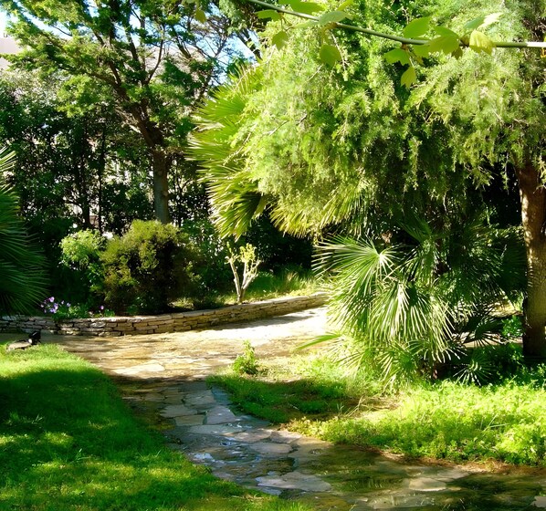 A stone pathway in a lush garden with various trees and shrubs.