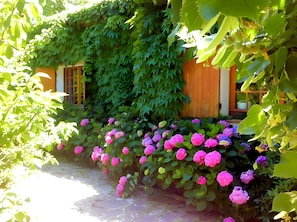 A garden with a pathway leading to a wooden structure.
