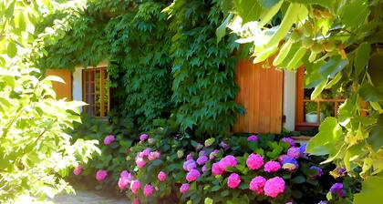 Room 'Chambre' with Private Terrace, Wi-Fi and Air Conditioning