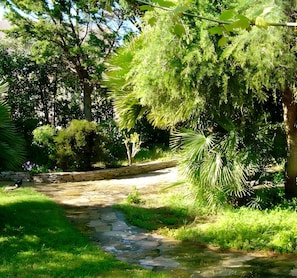 A stone pathway in a lush garden with various trees and shrubs.