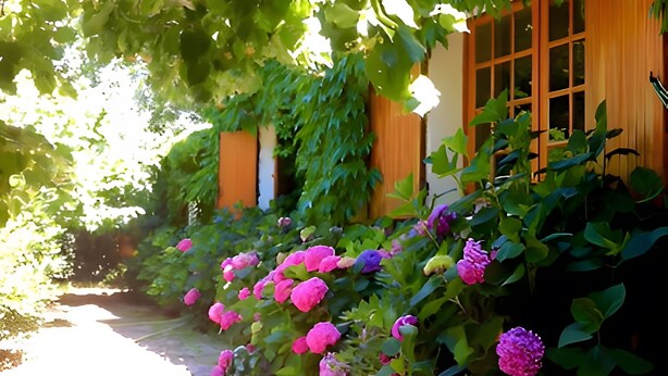 Un vialetto nel giardino, con piante fiorite e un edificio in legno con finestre.