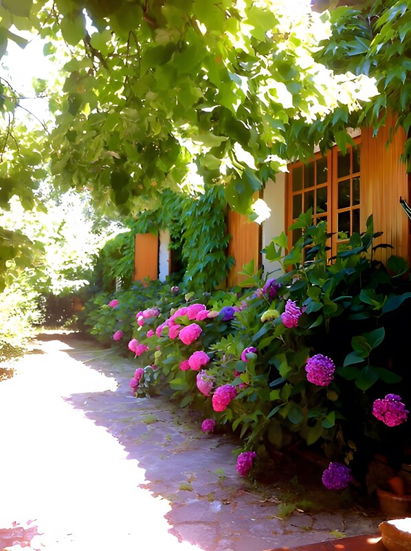 A garden pathway with flowering plants and a wooden building with windows.