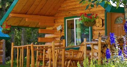 Cozy Creekside Cabin with Mountain Views & Fireplace near Log Cabin Creek, Tok Alaska