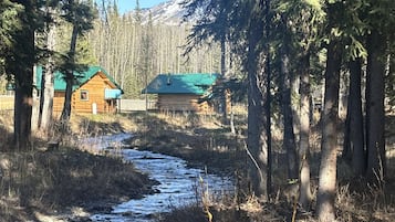 Une cabane surmontée d’un toit végétalisé, entourée de grands arbres et bordée par un ruisseau.