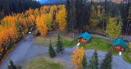 Cozy Creekside Cabin with Mountain Views & Fireplace near Log Cabin Creek, Tok Alaska