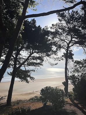 Eine Strandlandschaft mit Bäumen und blauem Himmel.