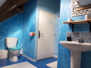 Kylpyhuone, jossa on wc, pesuallas ja siniset seinät.