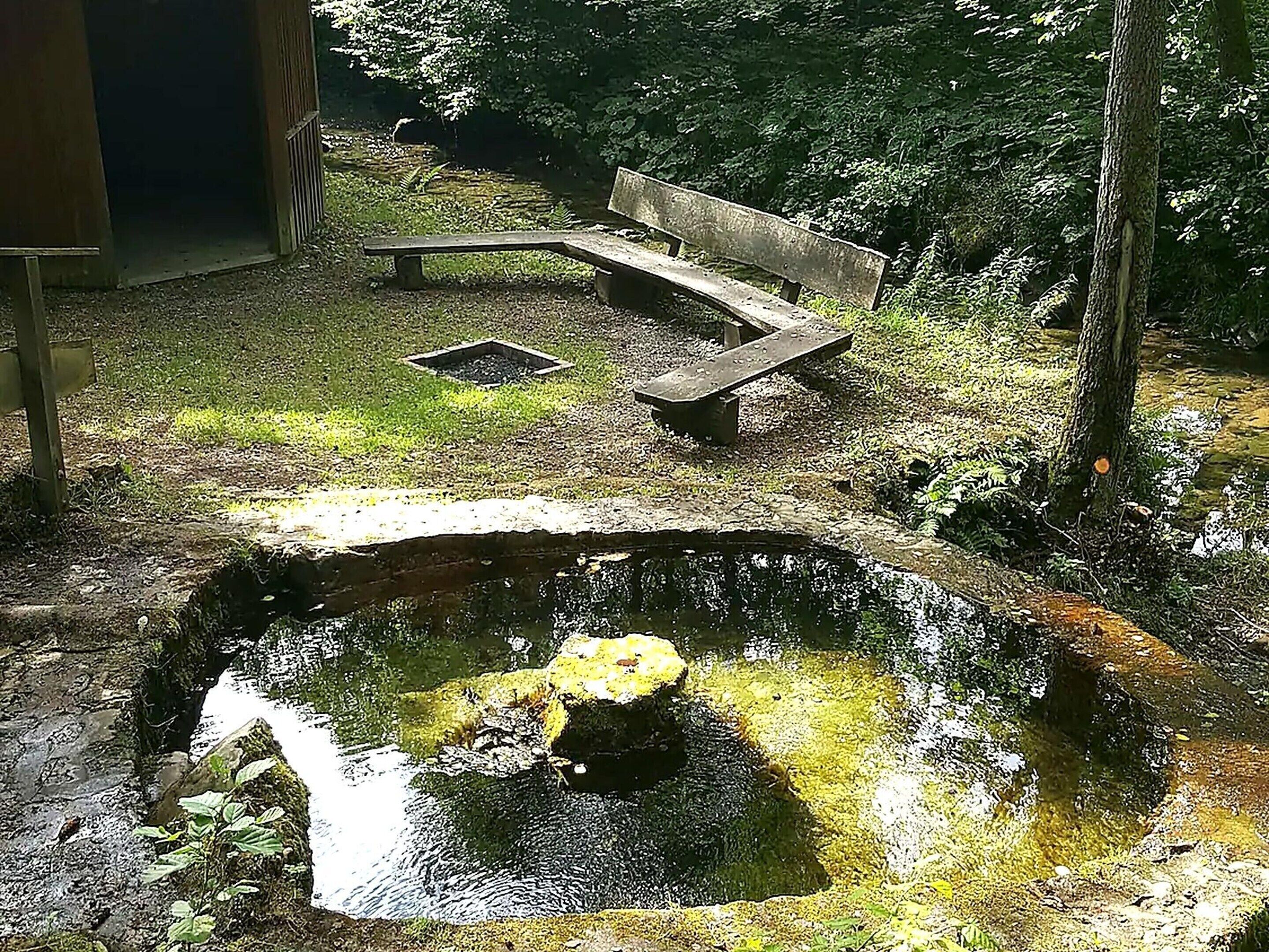 Apartment | Garden
