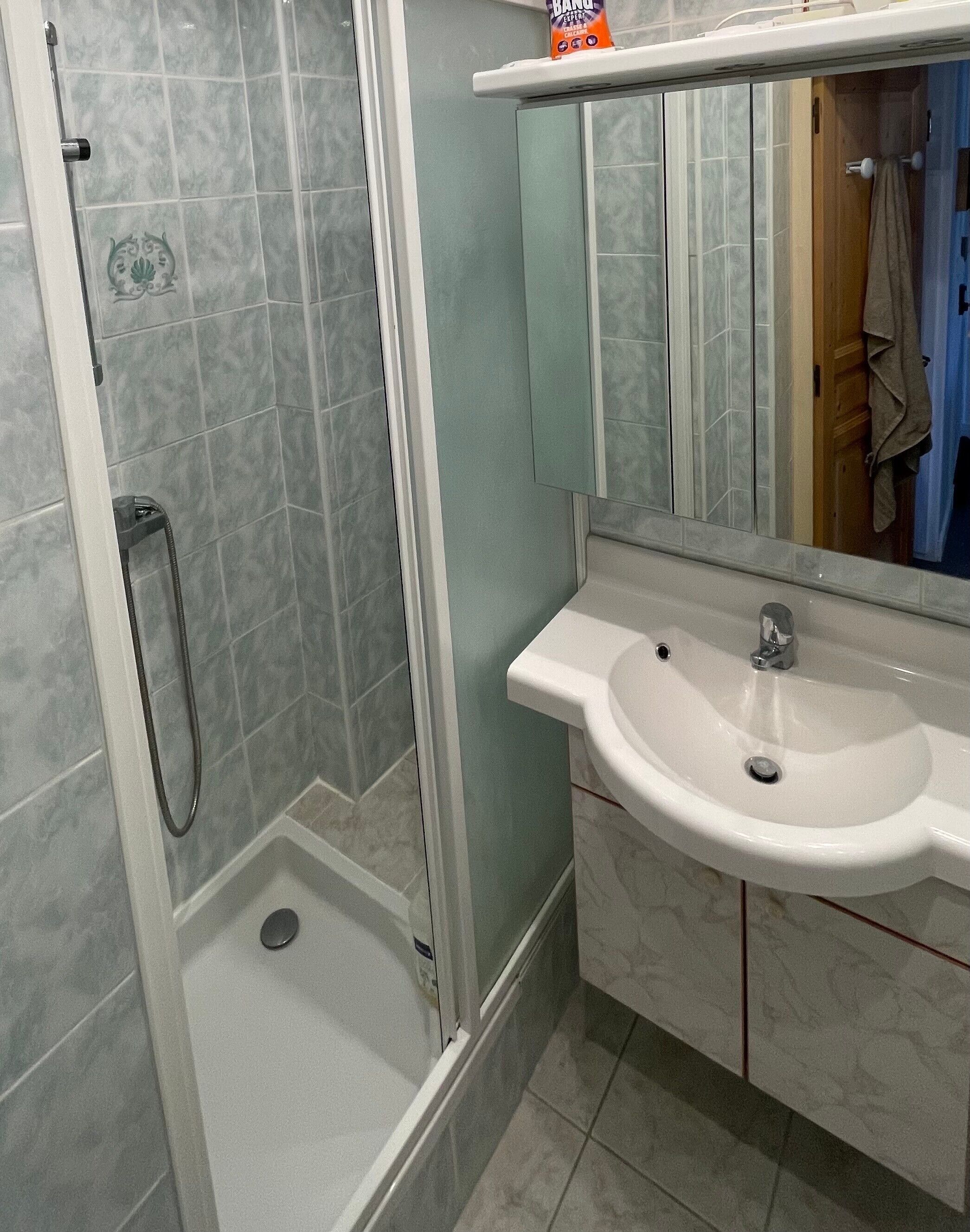 Shower, hair dryer, towels