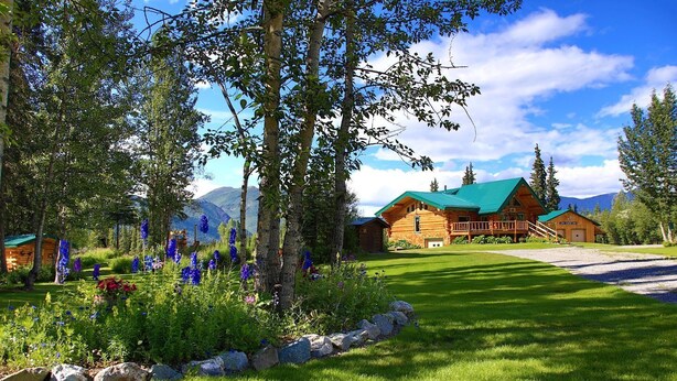 A log cabin with a green roof, surrounded by a well-maintained lawn and flowering plants.