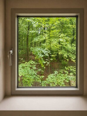 Una ventana con vistas a un bosque.