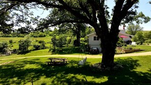 A house with a large tree in front, a picnic table, and a swing set.