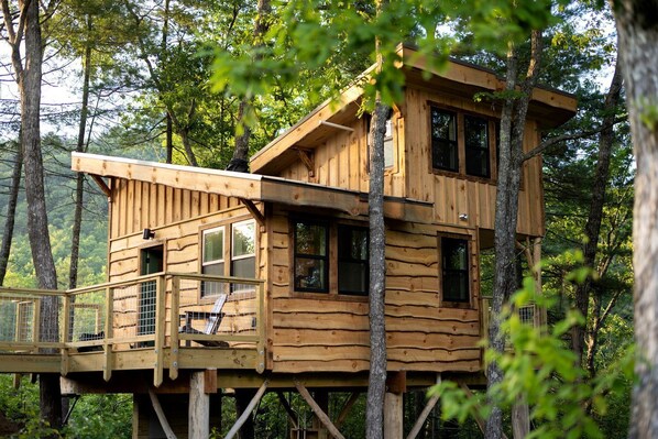Une cabane en bois perchée dans un arbre, avec plusieurs niveaux, de grandes fenêtres et une terrasse en bois.