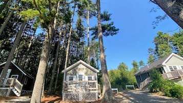 A cabin with a porch, surrounded by tall trees.