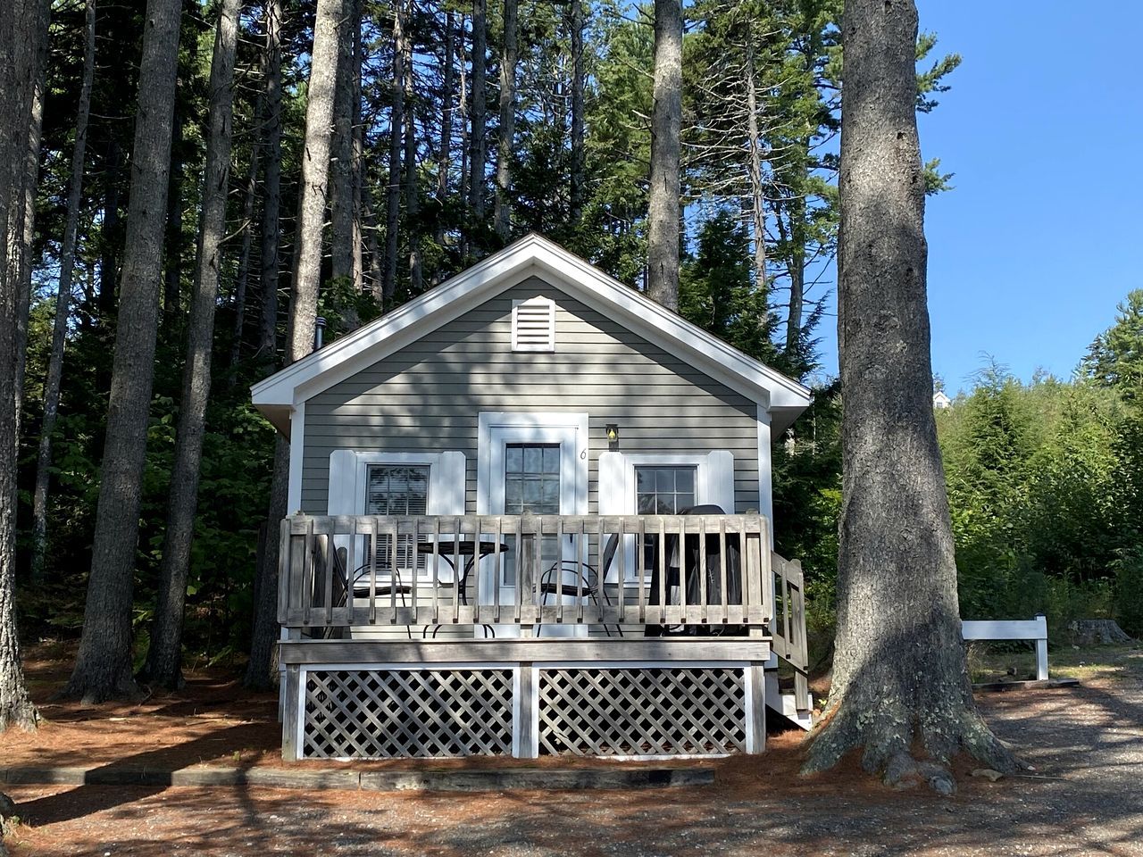 A cabin with a porch, surrounded by tall trees.