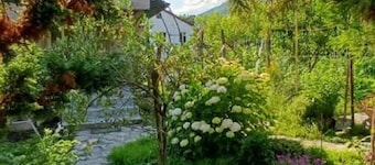 A comfortable 5-person cottage in a peaceful and scenic location in Lagodekhi.