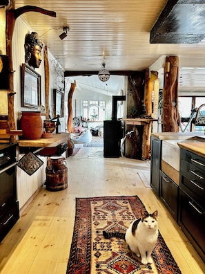 Una cocina rústica con vigas de madera, un gato sobre una alfombra y vistas al exterior.