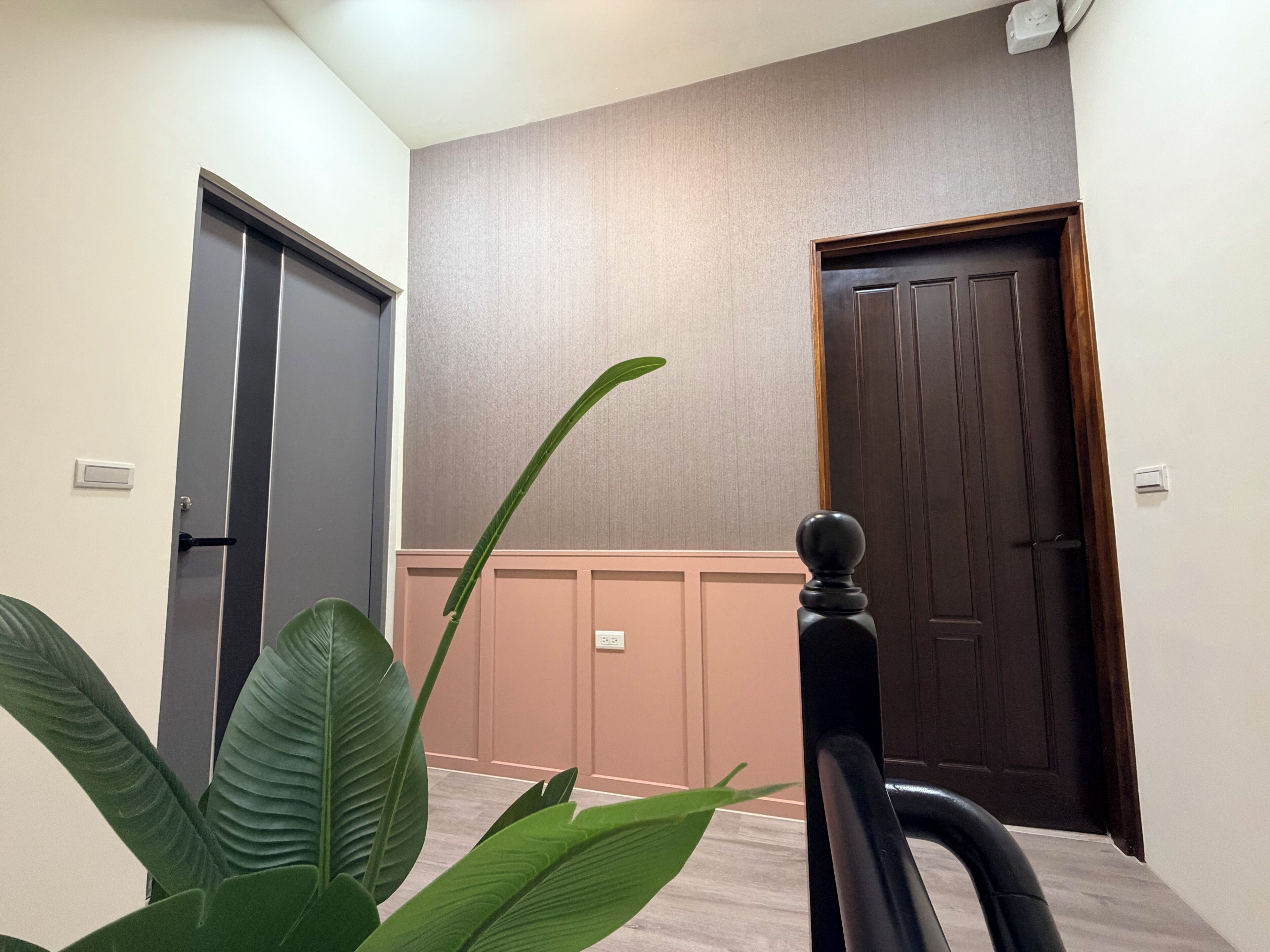 Un pasillo con una planta, una puerta de madera e interruptor de luz en la pared.