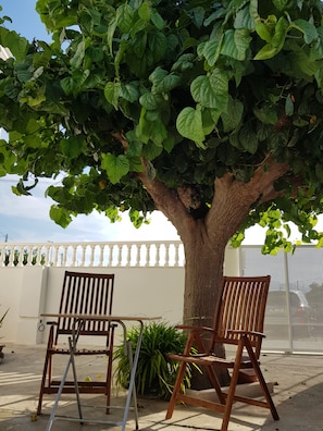 Ein Baum mit einer Bank darunter, ein weißer Zaun und ein Metallgitter im Hintergrund.