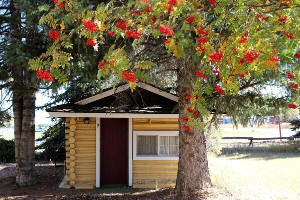 Een klein houten vakantiehuisje met één deur en raam, omgeven door bomen met rode bloemen.