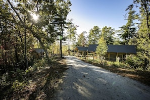 A gravel road leading to a row of cabins surrounded by trees.