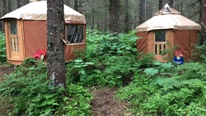 Two wooden yurts in a forest, surrounded by dense green foliage.