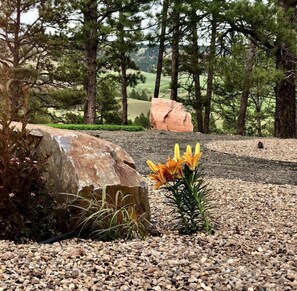 A natural landscape with a large rock, a small flower, and a gravel path. - Stunning Secluded Dome with Gorgeous Forest Sights in Hermosa, South Dakota (Hermosa)