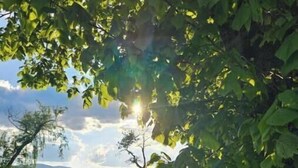 Property grounds - Domaine Le H – A Nature Getaway with Panoramic Views of the Vosges (Hohrod)