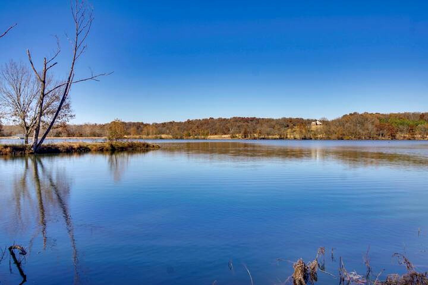 Un lago sereno con árboles y cielo despejado.