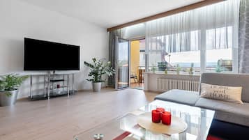 Fernseher, Stereoanlage
