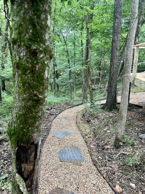 Ein bewaldetes Gebiet mit einem Schotterweg, umgeben von Bäumen und einer Holzhütte.