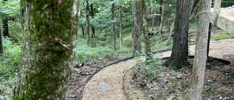 A forested area with a gravel path, surrounded by trees and a wooden structure.