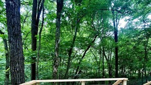 A wooden deck with two wooden benches and a railing, surrounded by a forest.