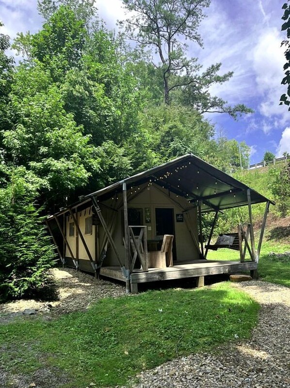 Un chalet rustique doté d’un porche abrité, entouré d’une végétation luxuriante.
