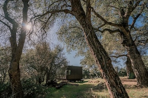 Eine Holzhütte im Wald, umgeben von großen Bäumen, mit blauem Himmel.