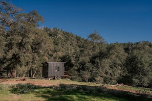 Eine kleine, dunkel gefärbte Hütte mit Fenster und Tür, umgeben von dichtem Wald und blauem Himmel.