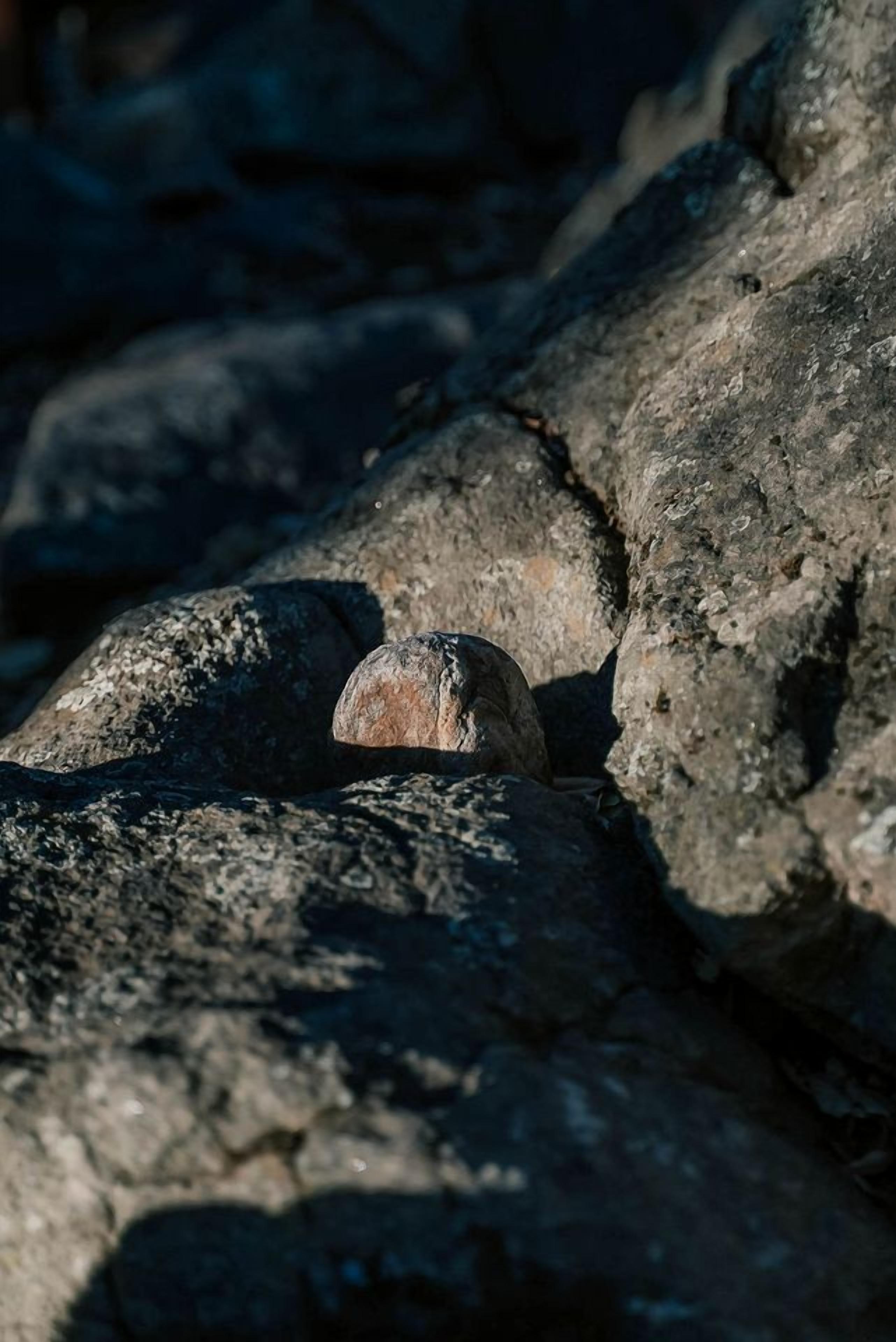 A rock formation with a shell partially embedded in it.