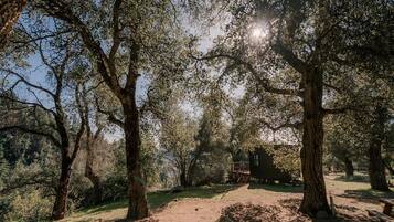 A forested area with a dirt path, trees, and a structure in the distance.