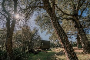 Overnattingsstedets uteområder