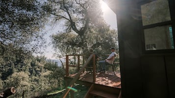 A wooden deck with a staircase leading to a small building, surrounded by trees and a clear sky.