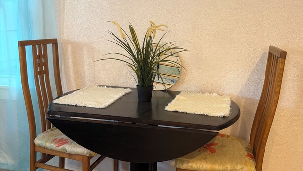 A round dining table with two chairs, a potted plant, and a white air conditioning unit mounted on the wall. - Nature Coast Cottage Retreat 5 star (Homosassa)