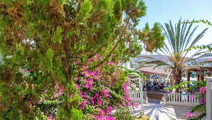 Un exuberante jardín con diversas especies de árboles y plantas con flores, una palmera y un área de descanso con mesas y sillas.