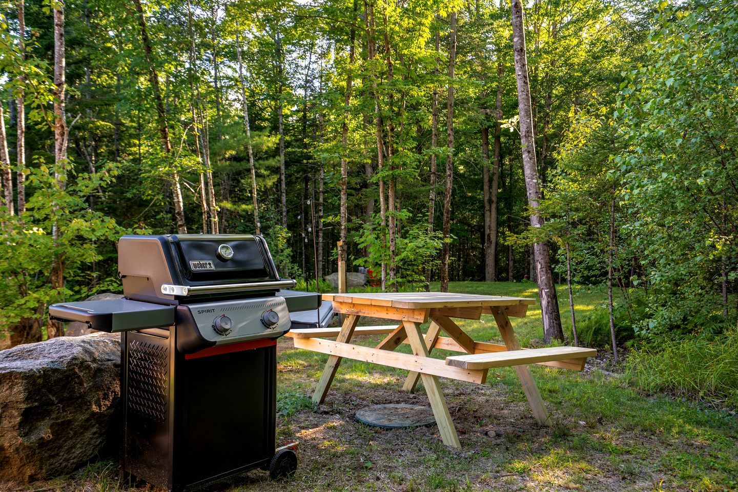 Un barbecue portable et une table de pique-nique installés dans une zone boisée.